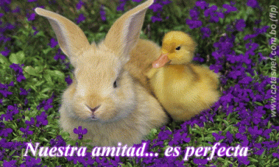 3 sentimientos: AMISTAD